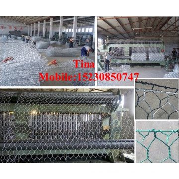 China 60X80mm Hot-Dipped Galvanisierte Gabion Box / Gabion Mesh Stone Box (XM-2)